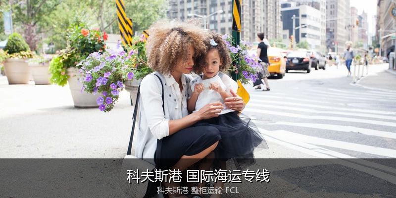 海运拼箱与整柜运输优劣对比